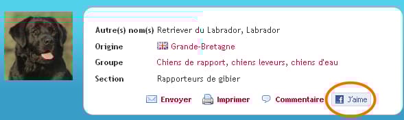 Dites que vous l'aimez sur Facebook !