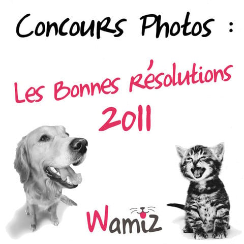 Concours photos : Les résolutions de vos animaux