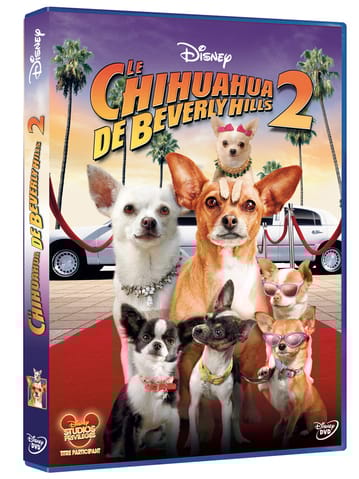 Les résultats du concours "Le Chihuahua de Beverly Hills 2" !