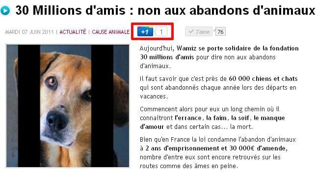 Nouveau sur Wamiz : le bouton +1 !