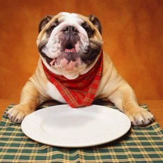 Partagez-vous vos repas avec votre chien ?