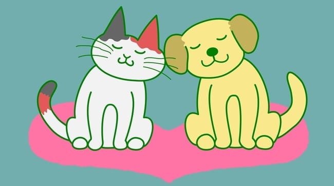 Sondage : l'Amour, Vous et votre Animal de compagnie !