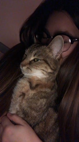 Petit être s’est envolée