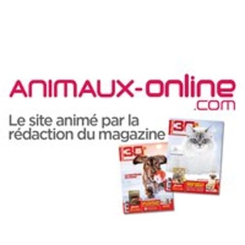 Animaux-******
