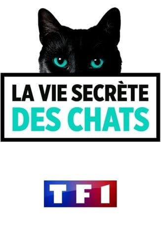 "La vie secrète des chats"