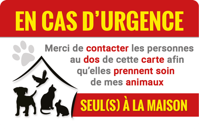 Carte utile à glisser dans votre portefeuille en cas d'urgence