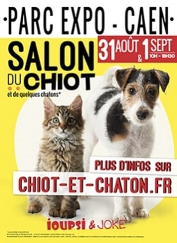 Salon du chiot et chaton à CAEN