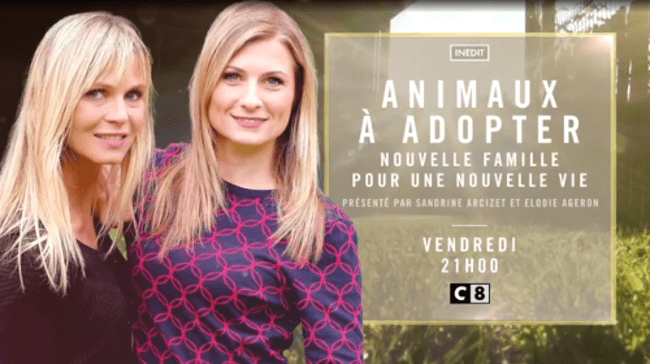 "Animaux à adopter:nouvelle famille pour une nouvelle vie" ce soir sur C8