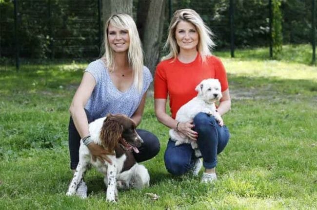 Nouvel épisode de "Animaux à adopter:nouvelle famille pour une nouvelle vie" ce soir sur C8