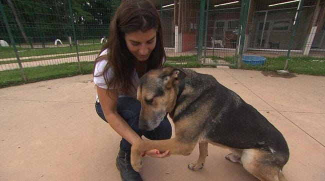 "Animaux à adopter:nouvelle famille pour une nouvelle vie" - Saison 2,épisode 4