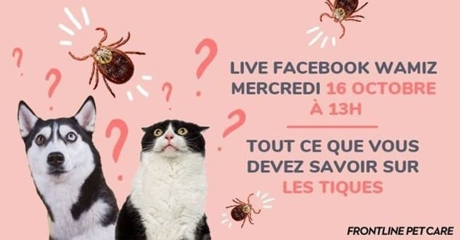 LIVE FACEBOOK WAMIZ MERCREDI 16 OCTOBRE A 13H