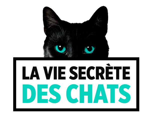 "La vie secrète des chats" Dimanche à 16h sur TF1