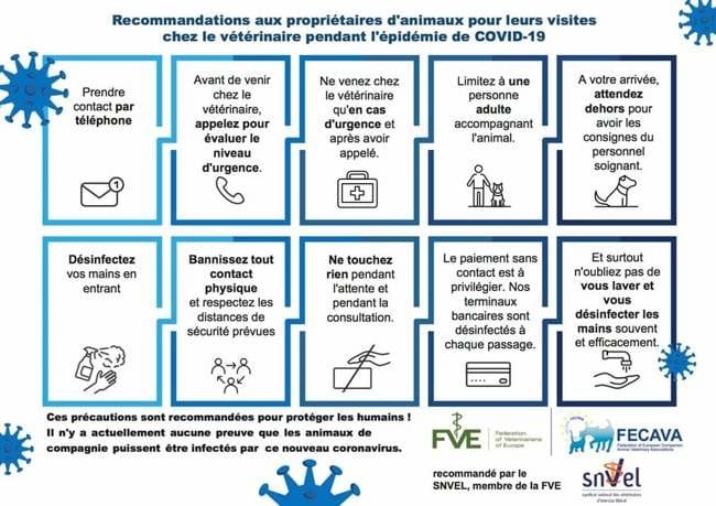 Coronavirus:mesures à prendre en cas de visite chez le vétérinaire