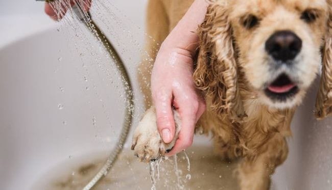 Coronavirus:3 conseils à suivre si vous craignez vraiment le virus