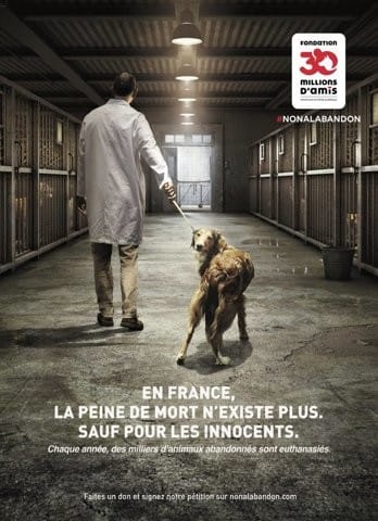 Campagne 2020 contre les abandons