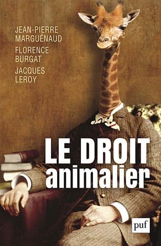 Nouvelle session DU droit animalier