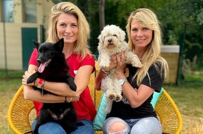 Nouvelle saison de "Animaux à adopter:nouvelle famille pour une nouvelle vie sur C8