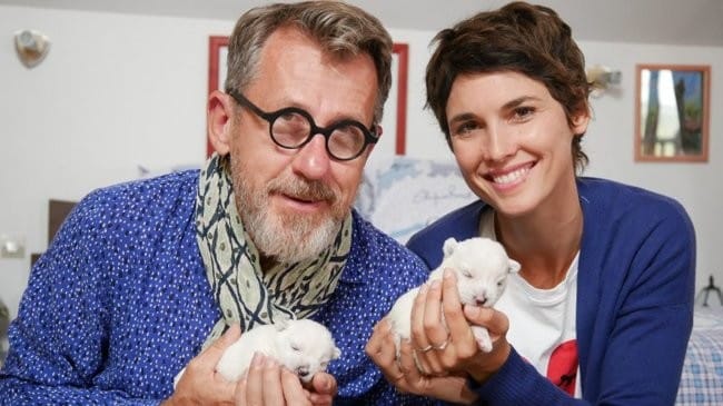 "Chiots,chatons:les premiers pas de nos animaux préférés" sur France 4