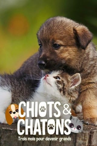 "Chiots & chatons:3 mois pour devenir grand" sur CSTAR