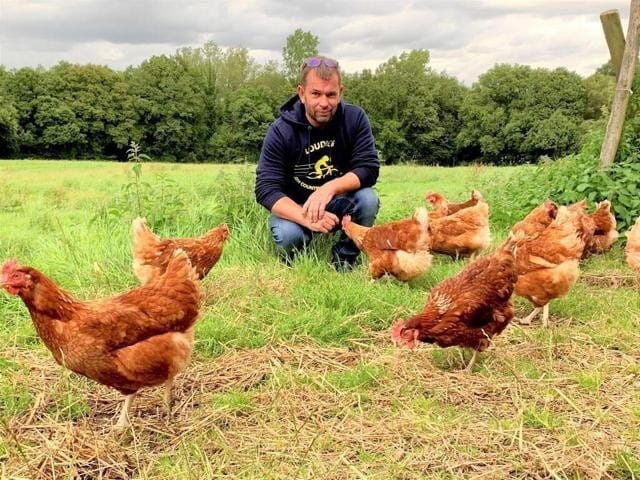 Vente de poules à Bénouville