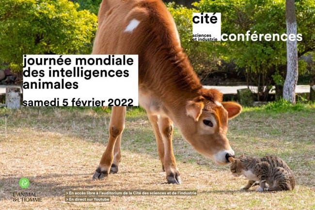 Journée Internationale des Intelligences Animale
