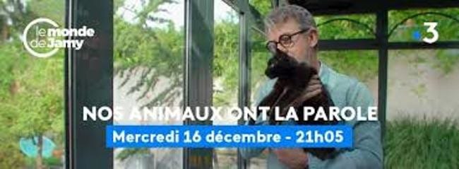 Numéro consacré aux animaux