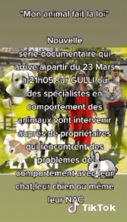 Nouvelle série-documentaire sur GULLI
