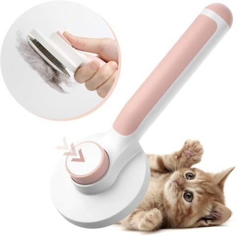 Une brosse qui serait révoltionnaire