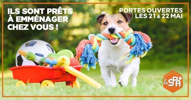 Portes Ouvertes à la SPA