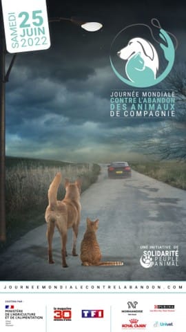 25 Juin:Journée Internationale de Lutte contre les Abandons