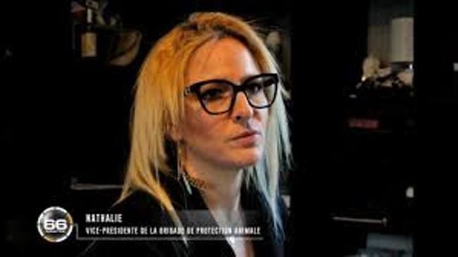 Sujet consacré à l'achat d'animaux domestiques dans "Arnaques" sur M6