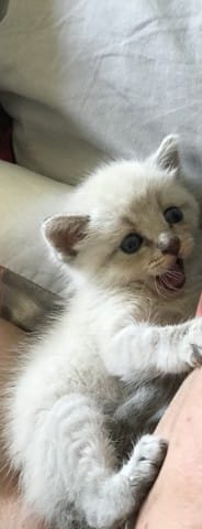 Bonjour à vous