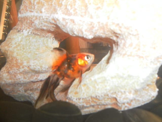 Poisson...
