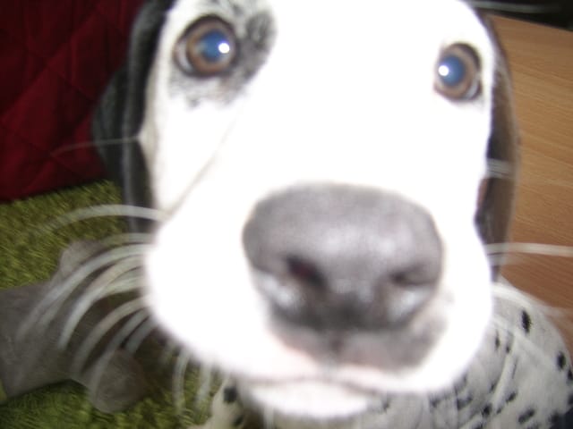 Et si on se rencontrait à Lille... ?