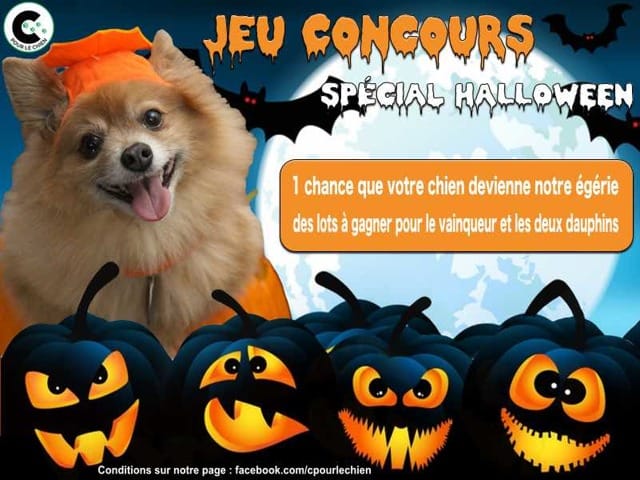 Concours Photo Halloween