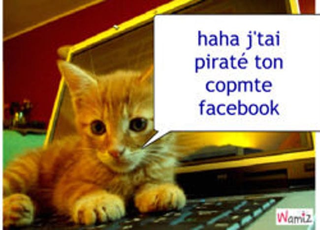 CONCOURS A VOS TOONIZ