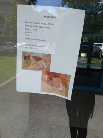 Partager pour l'aider à retrouver son chat perdu !