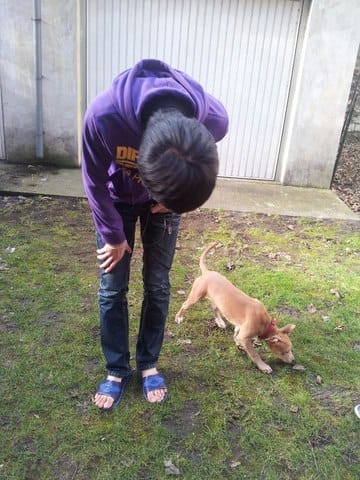 Chiot trop maigre ! 
