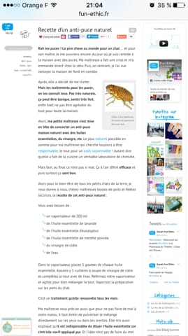 Soigner les puces naturellement