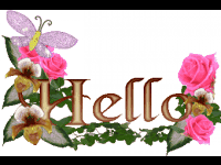 esq il ya des malaie pour un ecureuil