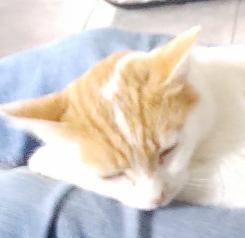 Tache noir sur son petit nez