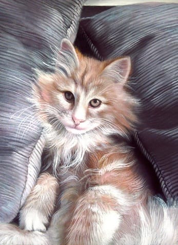 Portrait Peinture de vos chats