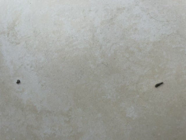 Qu’est ce que c’est ?