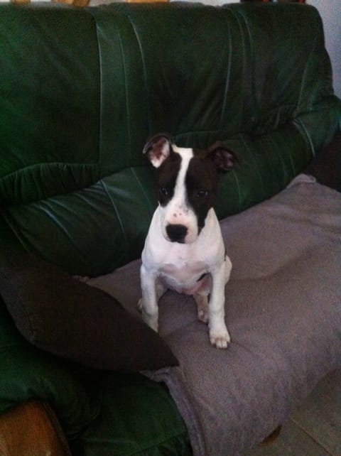 Présentation de Milley