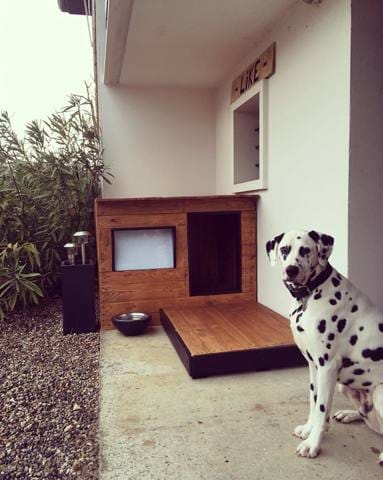 Dalmatien et froid