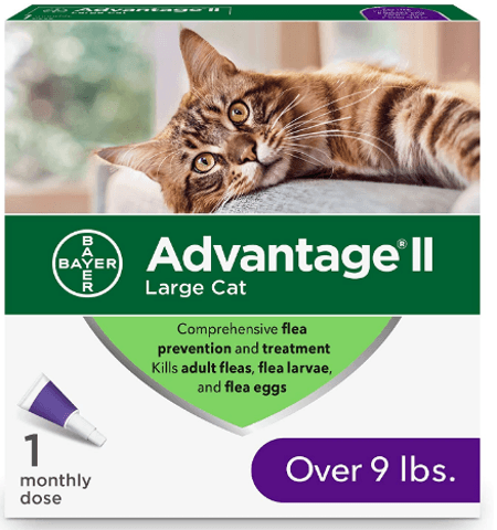 Hello friends, n I am sharing an experience on a flea prevention medicine for big cats