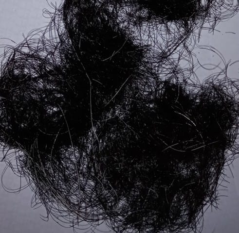 Aujourd'hui je me venge !