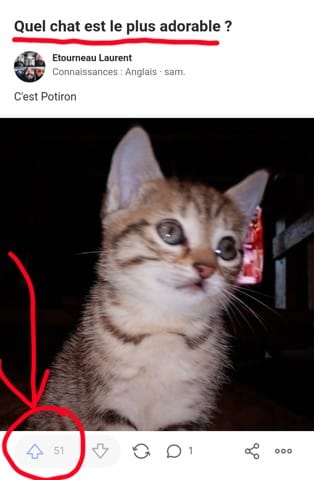 Jdis ça, jdis rien... 😎