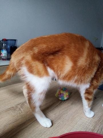 1 creux de chaque côté après stérilisation