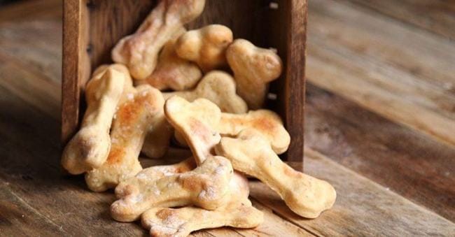 friandises pour chiens sont faciles à préparer à la maison il rendre votre chiot heureux